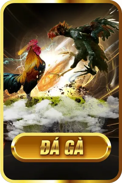ĐÁ GÀ K9K9