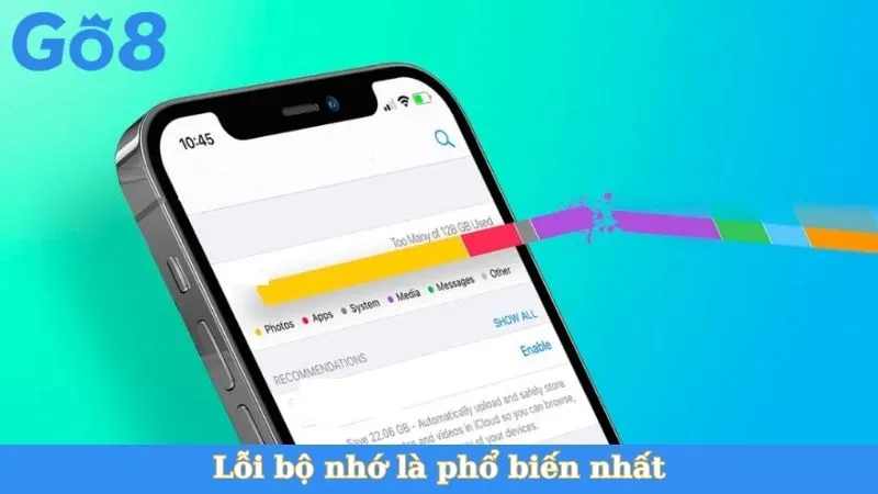 Sự cố bộ nhớ phổ biến 